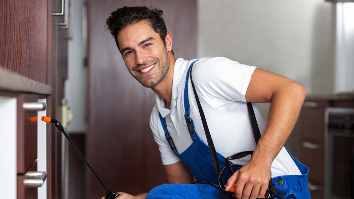 ابادة البعوض